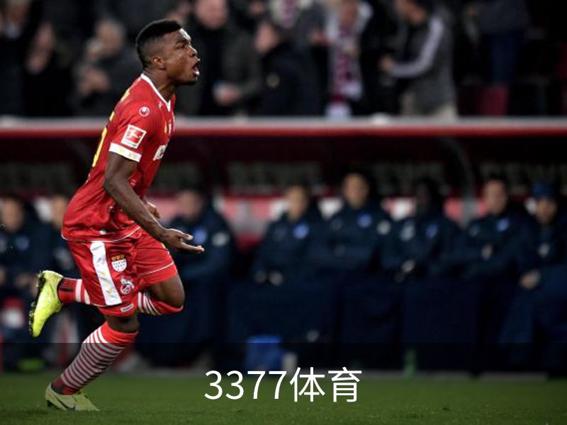 走进3377体育